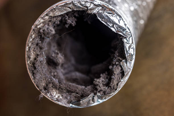 Best Professional Duct Cleaning Services  in Ecorse, MI