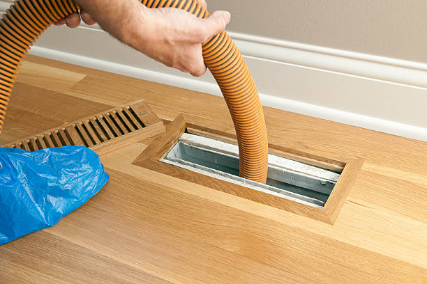Best Home Air Vent Cleaning  in Ecorse, MI